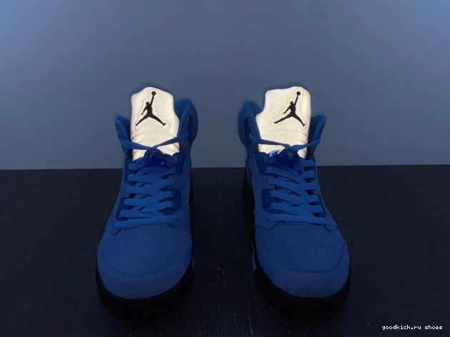 5 UNC DV1310-401 Air Jordan 0807